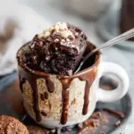 The Best Chocolate Mug Cake